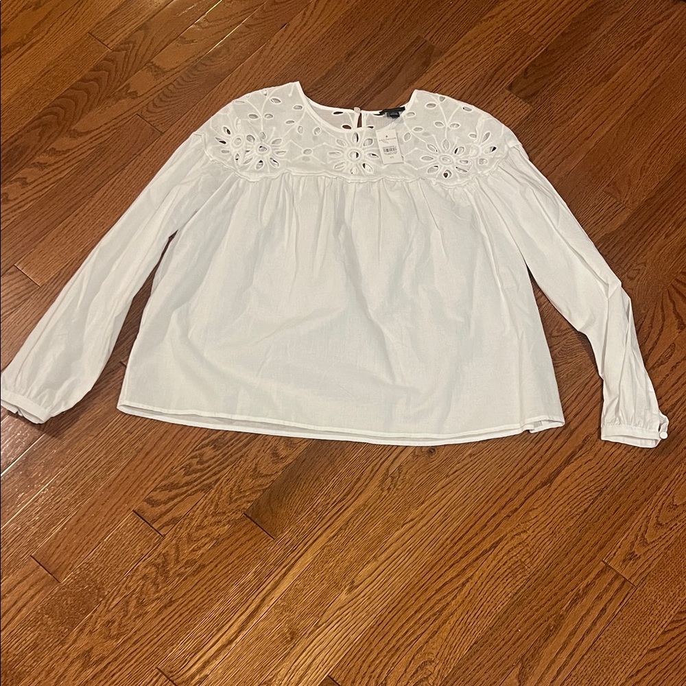 Ann Taylor White Eyelet Yoke Long Sleeve Blouse